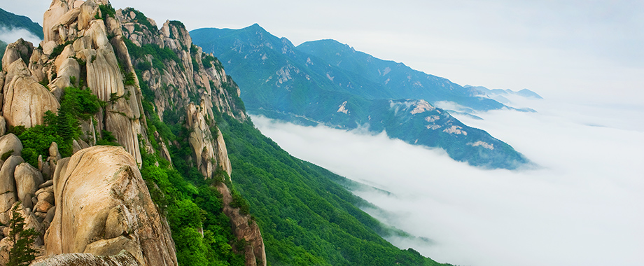 featured_teach_in_korea_03